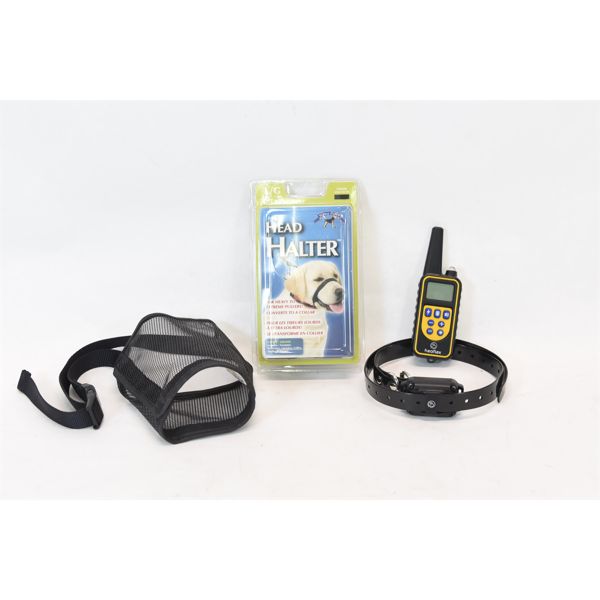 Box Lot Dog Training