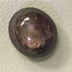 32.46 CTS STAR RUBY CABOCHON 18x16 MM