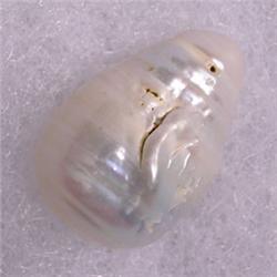 16 MM SOUTH SEA PEARL - FULL DRILLED