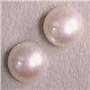 Image 1 : 10 MM PAIR OF BUTTON FRESHWATER PEARLS  - HALF DRILLED