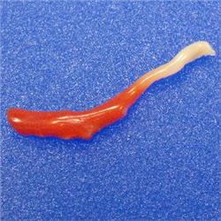 4.66 CTS NATURAL ITALIAN CORAL BRANCH 40x15 MM