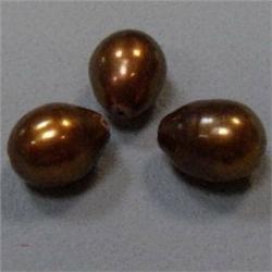13x11 MM LOT OF 3 FRESH WATER PEARLS
