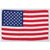 Image 1 : Apollo 11 Lunar Surface Flown American Flag