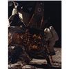 Image 1 : Alan Bean Signed Photograph