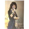 Image 1 : Autograph Signed Freddie Mercury Photo