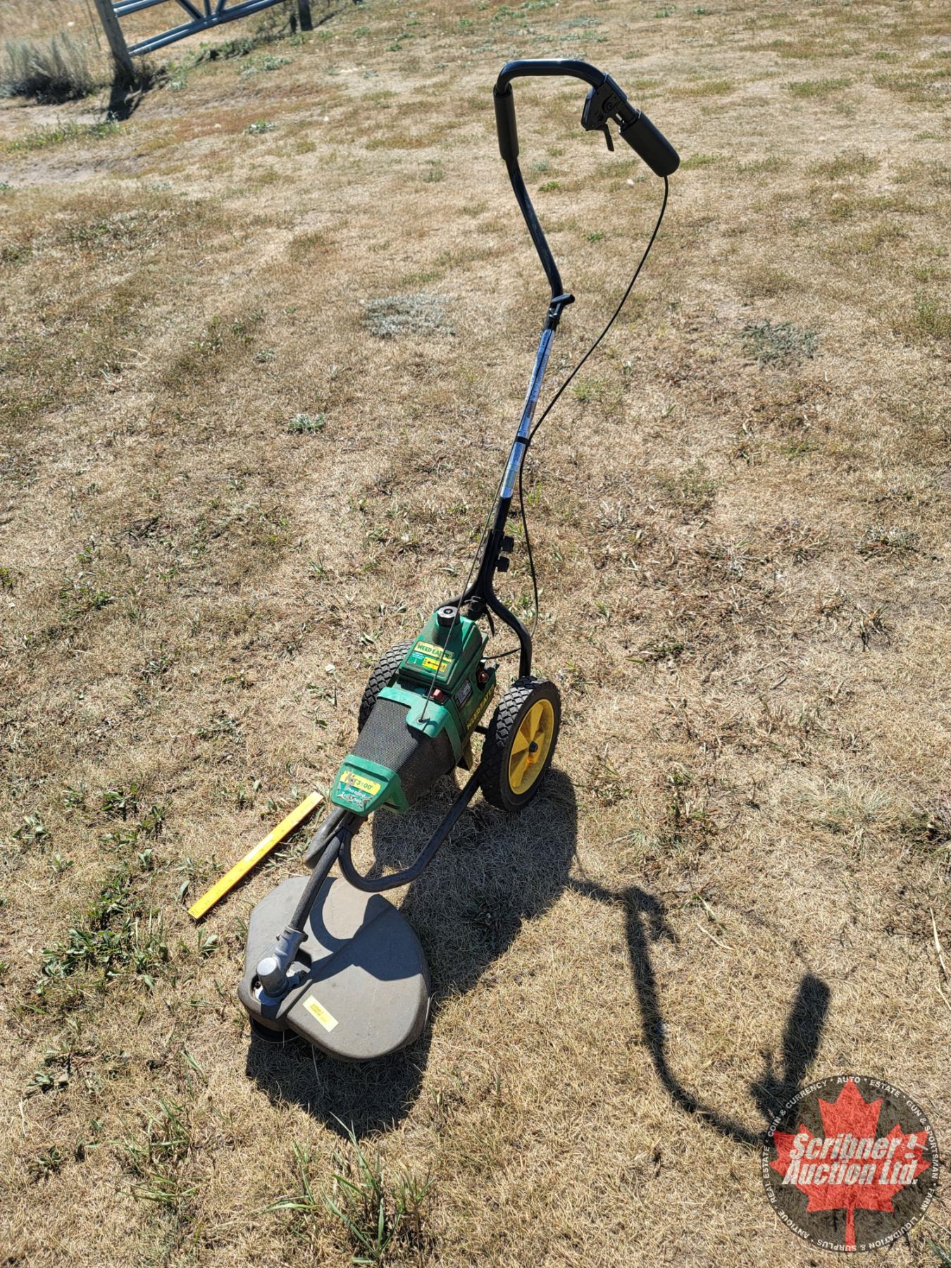 Weed Eater WT3100 Wheeled Trimmer (SEE PICS!)