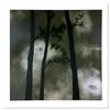 Image 1 : Arcaic Lowlands by Horton Original