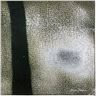 Image 2 : Arcaic Lowlands by Horton Original