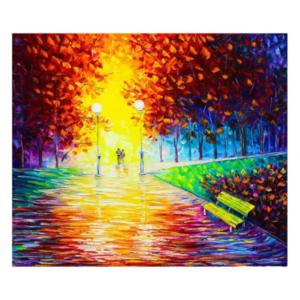 The Entrance To The Park by Shyrochuk Original