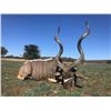 Image 11 : Deko Safaris - South Africa Plains Game