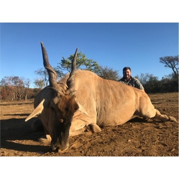 Deko Safaris - South Africa Plains Game