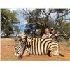 Image 33 : Deko Safaris - South Africa Plains Game