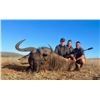 Image 4 : Deko Safaris - South Africa Plains Game