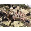 Image 11 : Valencia Expeditions - Spain Ibex
