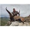 Image 12 : Valencia Expeditions - Spain Ibex