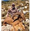 Image 7 : Valencia Expeditions - Spain Ibex