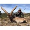 Image 9 : Valencia Expeditions - Spain Ibex