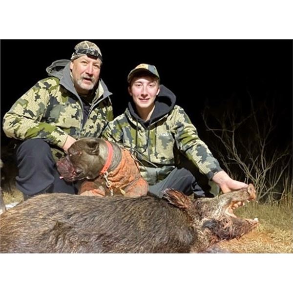 Safari Unlimited - Texas Hogs