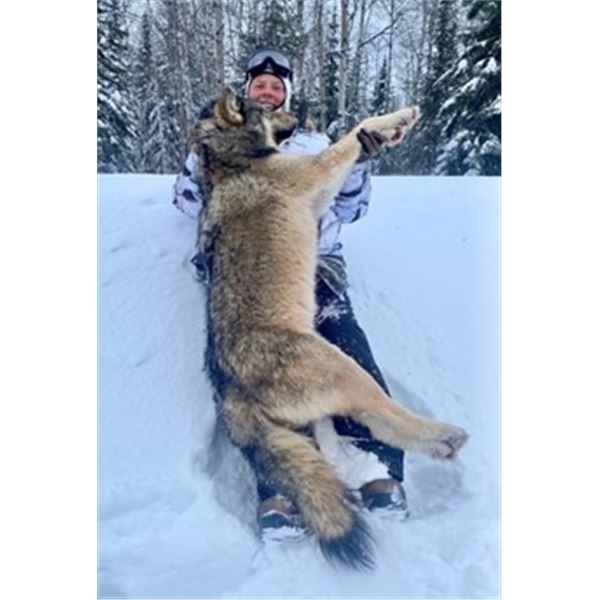 Kap River - Canada Wolf