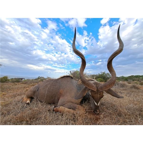 AC African Select Hunting - South Africa Plains Game