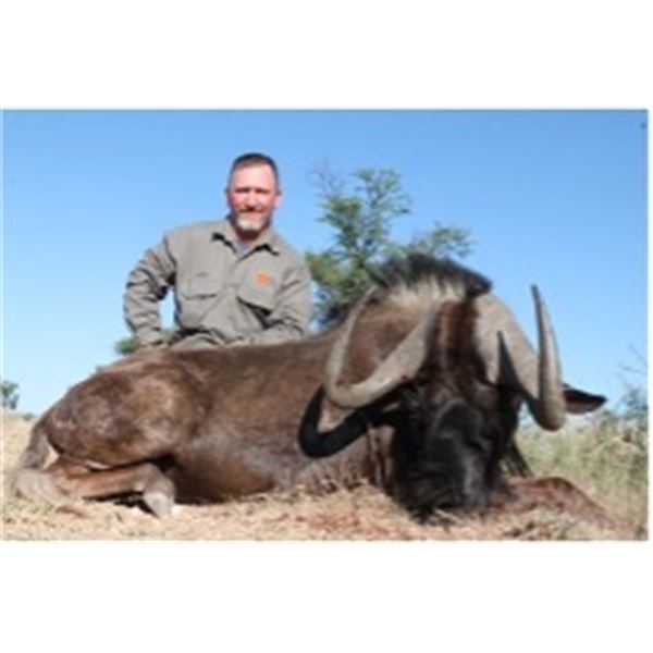 Numzaan Safaris - South Africa Plains Game