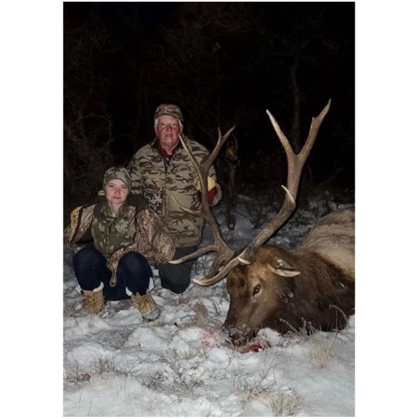New Mexico Elk