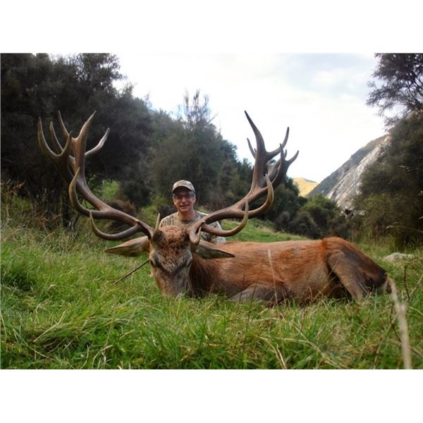Clarence Valley Trophy Hunting - New Zealand Red Stag
