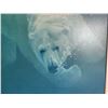 Image 2 : Art "Polar Impact" by John Seerey-Lester 5/180