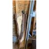 Image 1 : Lot of PVC Tubing and Live Edge Wood Pieces