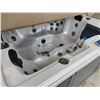 Image 3 : DynastySpas 6-Person Jacuzzi Hot Tub (Tested, Works)