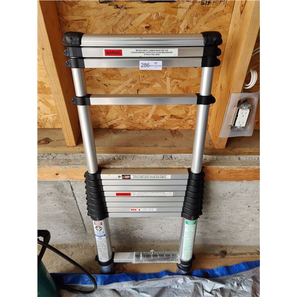 Telesteps 12.5ft Telescopic Ladder