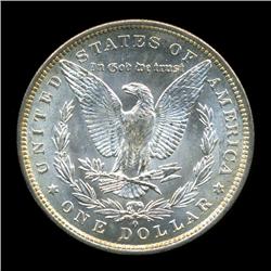1883O Morgan Dollar GEM BU Scarce Variety (COI-4518)