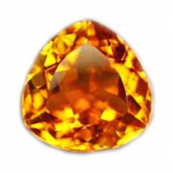 15ct Rare Trillion Golden Yellow Citrine Brazil FLAWLESS (GEM-10484A)