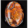 Image 1 : 3.96ct Attractive Yowah Pattern Genuine Boulder Opal (GEM-10643)