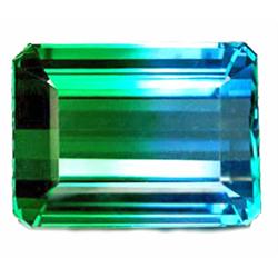 38.65ct  Bewitching  Octagon Bi Color Quartz FLAWLESS (GEM-10718)