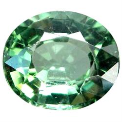 1.35ct Gorgeous Natural Neon Green Tourmaline AAA FLAWLESS (GEM-10912)