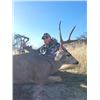 Image 2 : Arizona Coues or Mule Deer Hunt for 2 Hunters Fully Outfitted for 5 Days