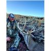 Image 3 : Arizona Coues or Mule Deer Hunt for 2 Hunters Fully Outfitted for 5 Days