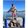 Image 2 : Arizona Bowfishing with Hi Lo Outfitters for up to 4 People