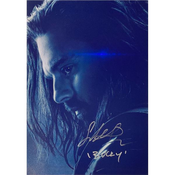 Signed Avengers Endgame Photo