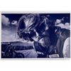 Image 1 : Autograph Signed Kim Coates Photo