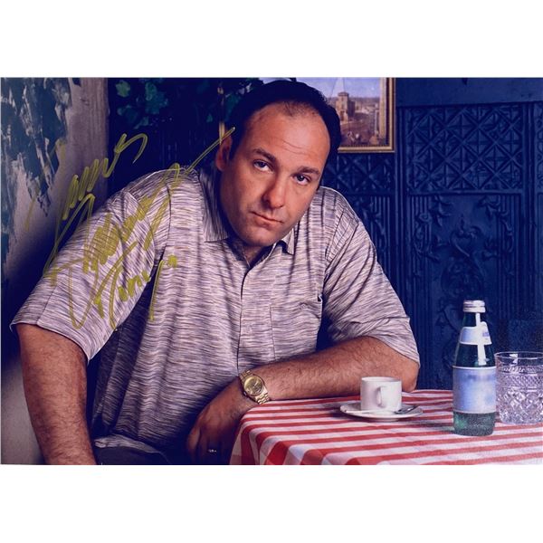 Autograph Signed Sopranos James Gandolfini Photo