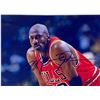 Image 1 : Autograph Signed Michael Jordan Photo