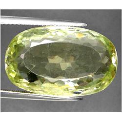 21.69ct Top AAA Mozambique Light Green Kunzite VVS (GEM-10350)