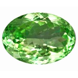 30.33ct  Immense Natural Green Hiddenite Unheated Gem VVS (GEM-10663)