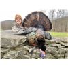 Image 1 : Spring Turkey Hunt for 2