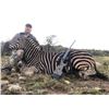Image 1 : South Africa, Limpopo Hunting Safari Package for 2 Hunters & 2 Observers