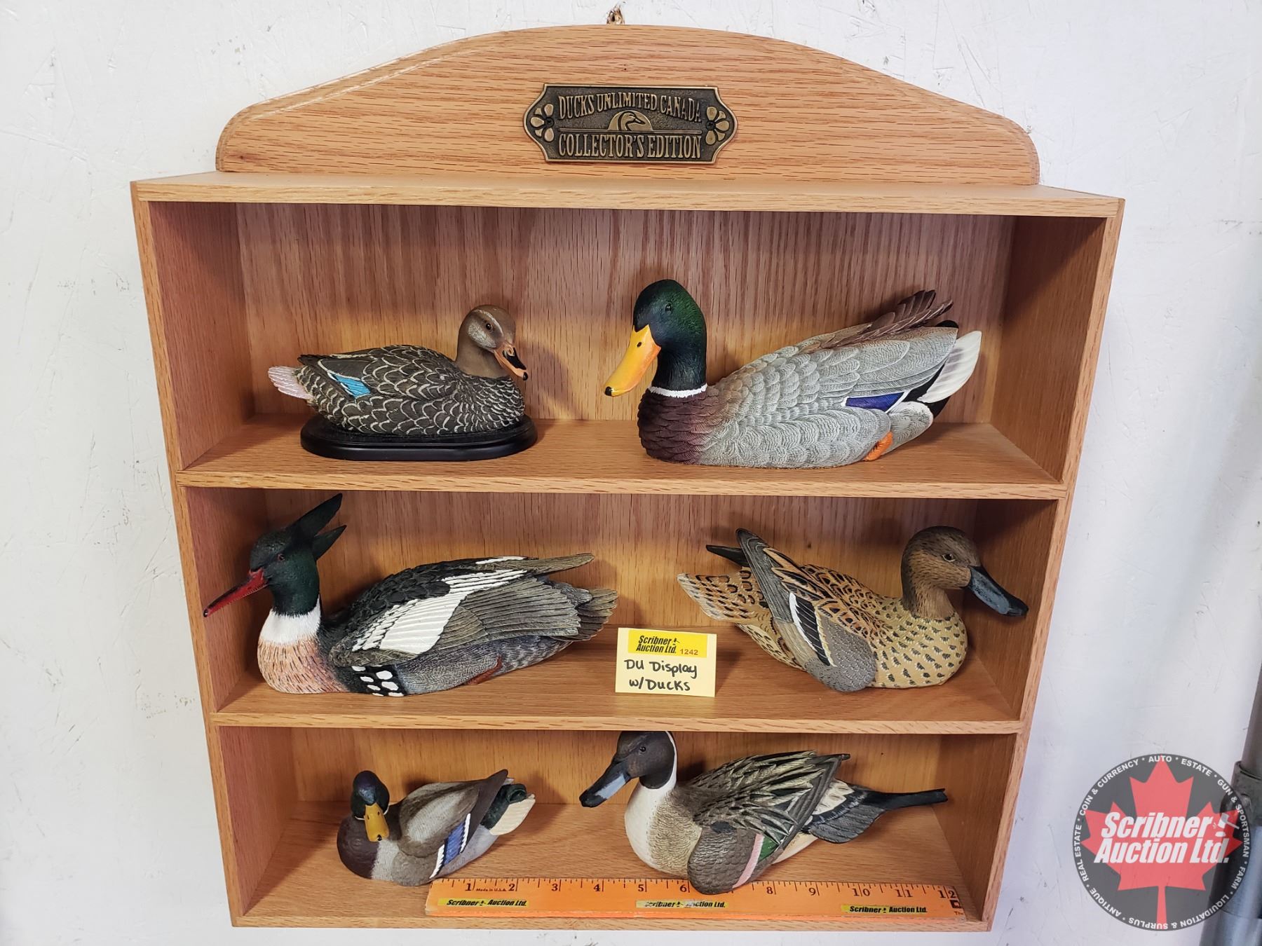 Duck Rack Display Ducks Unlimited Collector Series Display Cabinet with Variety of Duck ...