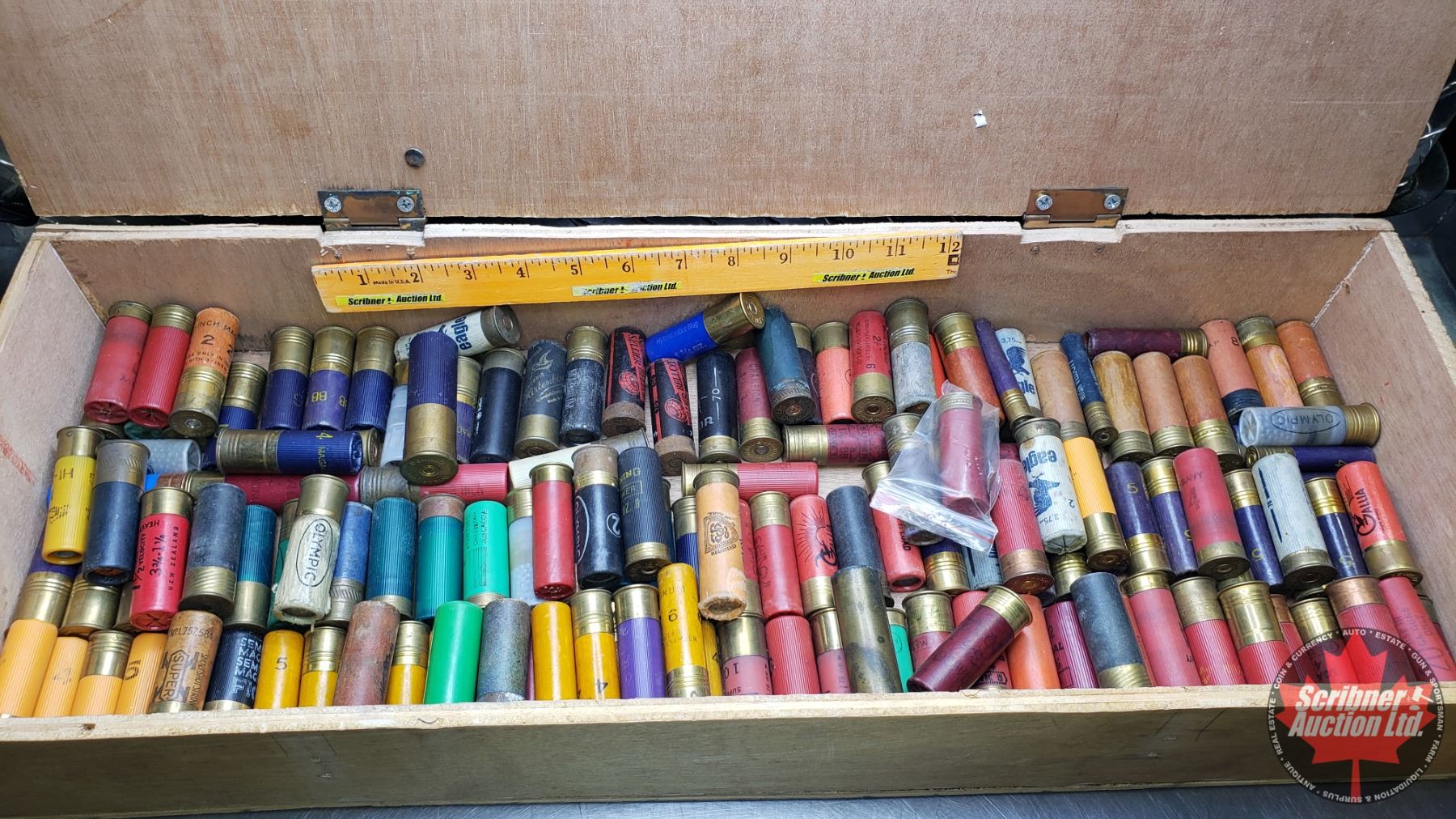 Solid Shot Shells Tank AMMO - Vintage: Shot Shell Collection (12ga, 16ga, 20ga, 410ga) (In ...