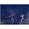 Image 1 : Autograph Signed Spiderman Photo